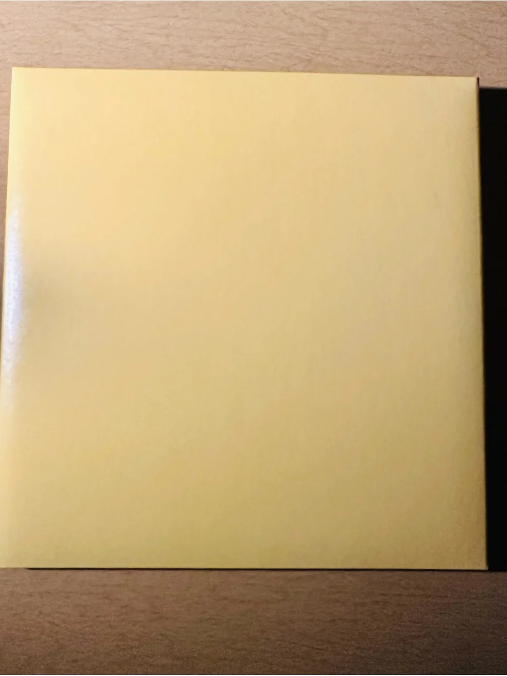 Vintage Expandable Photo Album Scrapbook with Whimsical Color Pencil Graphics